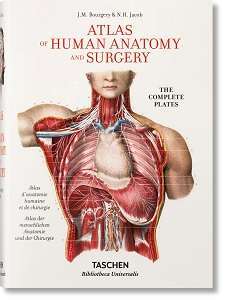 Фото - Bourgery. Atlas of Human Anatomy and Surgery (BU)