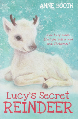 Фото - Lucy's Secret Reindeer [Paperback]