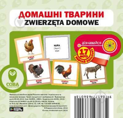 Фото - Домашні тварини. Польська мова