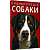 Фото - Енциклопедія. Собаки