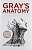 Фото - Gray's Anatomy