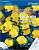 Фото - Cambridge IGCSE Biology 2nd Edition Coursebook with CD-ROM
