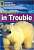 Фото - FRL2200 B2 Polar Bears in Trouble