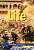 Фото - Life  2nd Edition Elementary WB without Key and Audio CD