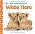 Фото - Mein Fühlbilderbuch: Wilde Tiere