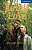 Фото - CER 5 Jungle Love: Book with Audio CDs (2) Pack