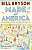 Фото - Made in America : An Informal History of American English