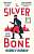 Фото - The Kyiv Mysteries Book1: The Silver Bone [Hardcover]
