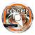 Фото - Explorer Beginners TRP CD-ROM FREE