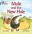 Фото - Big Cat Phonics 4  Mole and the New Hole.