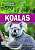 Фото - FRL2600 C1 Koalas Saved!