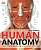 Фото - Human Anatomy