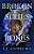 Фото - Stonegate Book1: Broken Souls and Bones