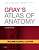 Фото - Gray's Atlas of Anatomy International Edition, 2nd Edition