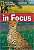 Фото - FRL2200 B2 Cheetahs in Focus!