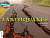Фото - CRA Earthquakes White Band