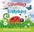 Фото - Counting with a Ladybird