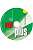 Фото - Plus New Pre-Intermediate CD