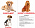 Фото - Русские большие карточки: Породы собак (ламинированные)