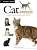 Фото - Cat Breeds: Characteristics, Breeds, Care, Origins