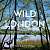 Фото - Wild London
