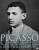 Фото - Life of Picasso (v. 1) [Paperback)